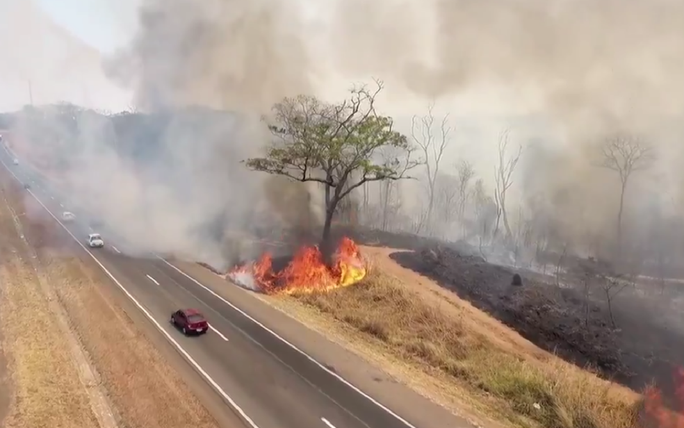 Parque Ecológico de Goiânia teve 44% da área queimada (Foto: Reprodução/TV Anhanguera)