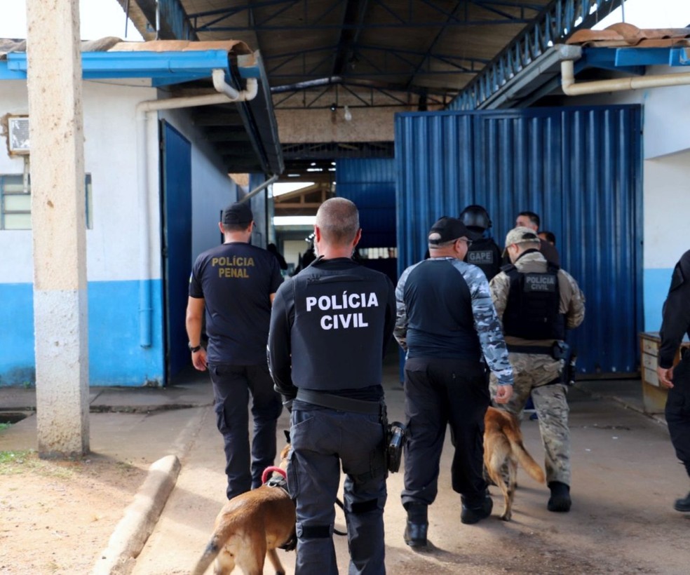 Cães farejadores participaram de operação em penitenciária de Porto Velho — Foto: Divulgação