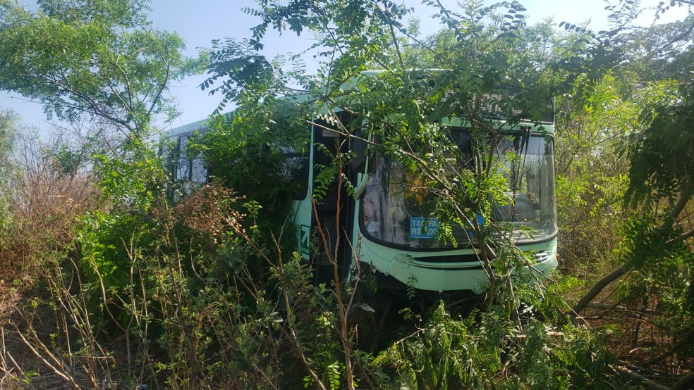 Motorista do ônibus saiu ileso do acidente em Jaú — Foto: Jairo César de Assis/Reprodução