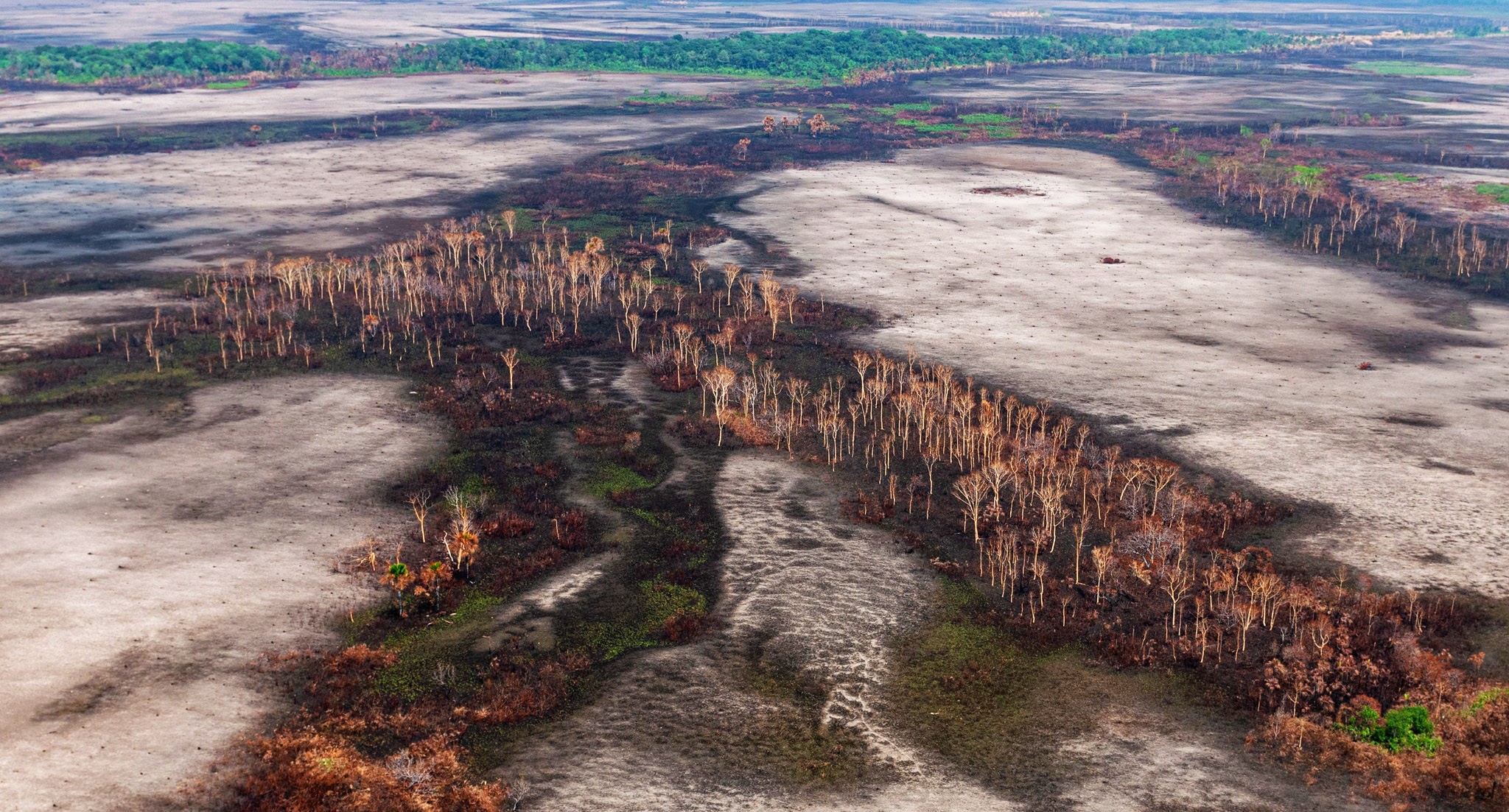 Número de alertas de desmatamento na Amazônia em 2021 é o segundo maior desde 2016 (Foto: Fotos Públicas)
