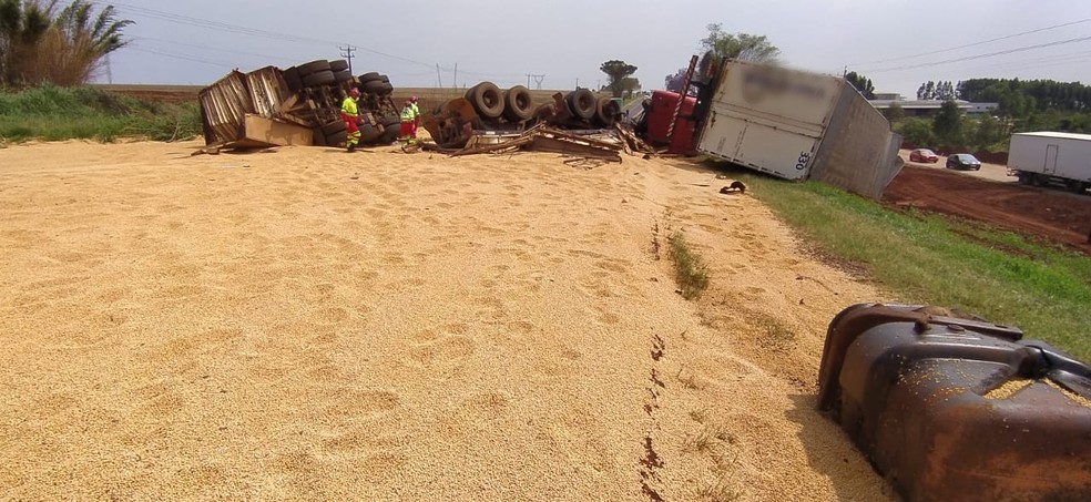 Carga ficou espalhada após batida na BR-277 — Foto: Sidney Trindade/RPC