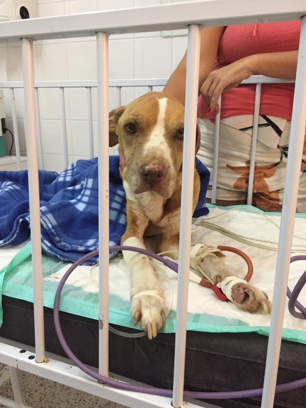 Raika foi internada após perder mais de 15 kg em uma semana. — Foto: Arquivo pessoal