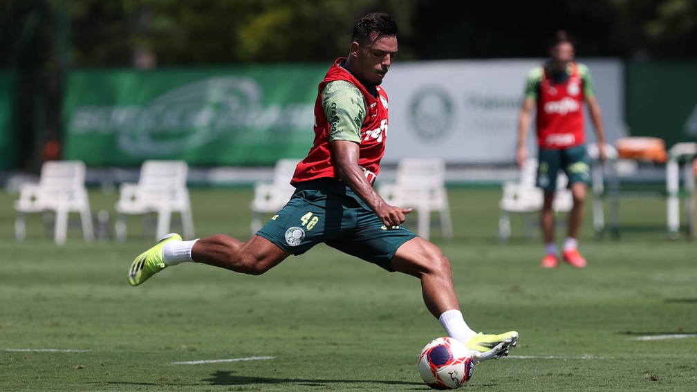 Palmeiras se reapresenta após fim de semana de folga: veja como foi a atividade na Academia