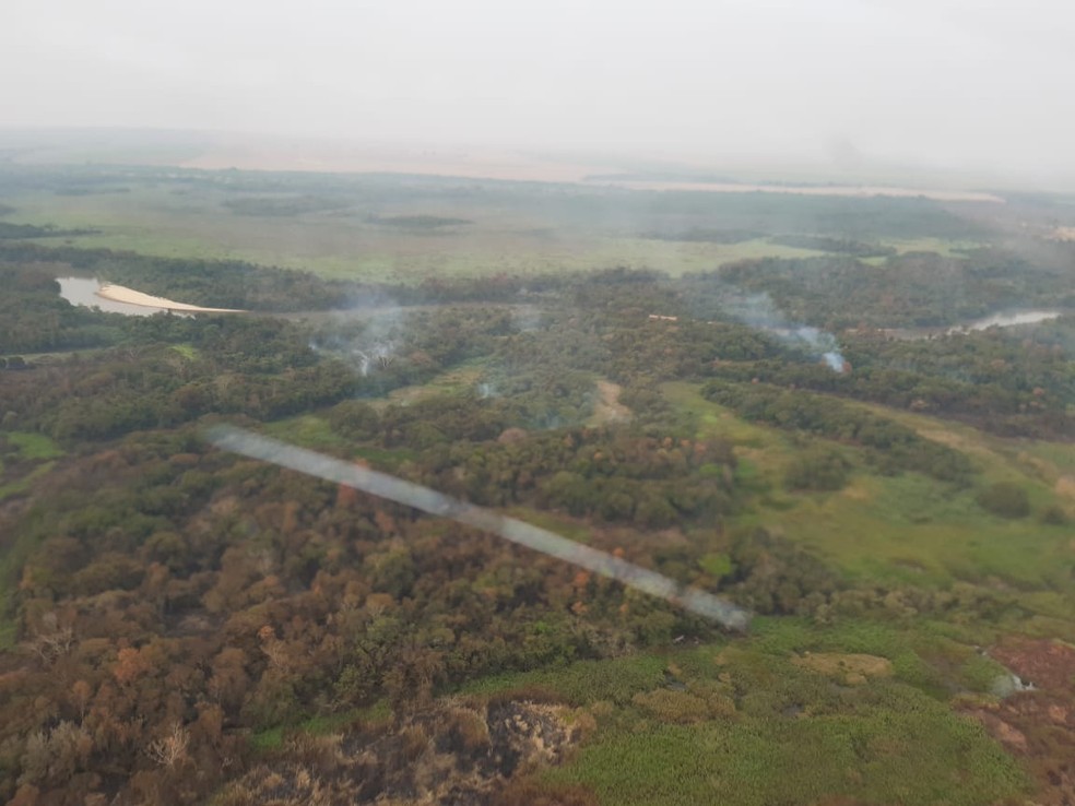 Incêndio atinge Parque Estadual do Aguapeí — Foto: Defesa Civil