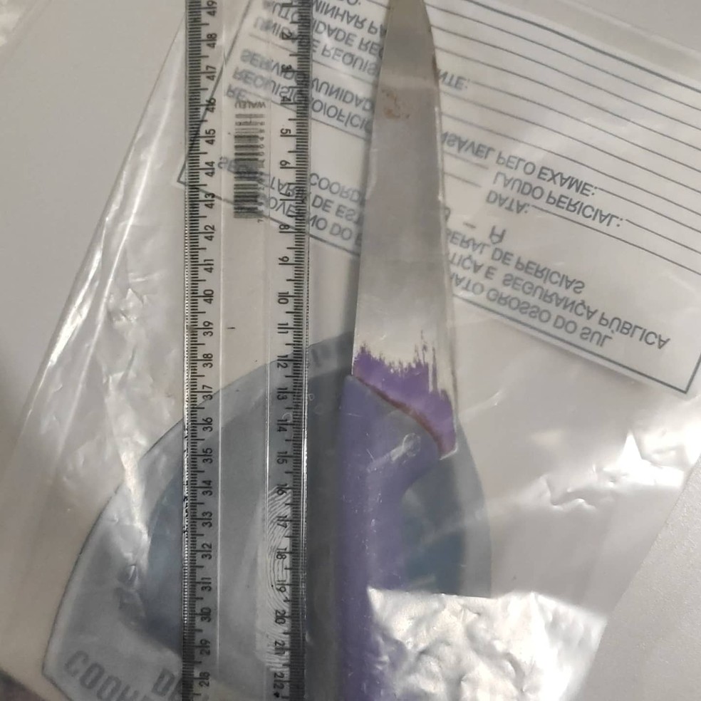 Faca que adolescente de 13 anos utilizou no crime, em Rio Verde (MS). — Foto: Polícia Cilvil/Divulgação