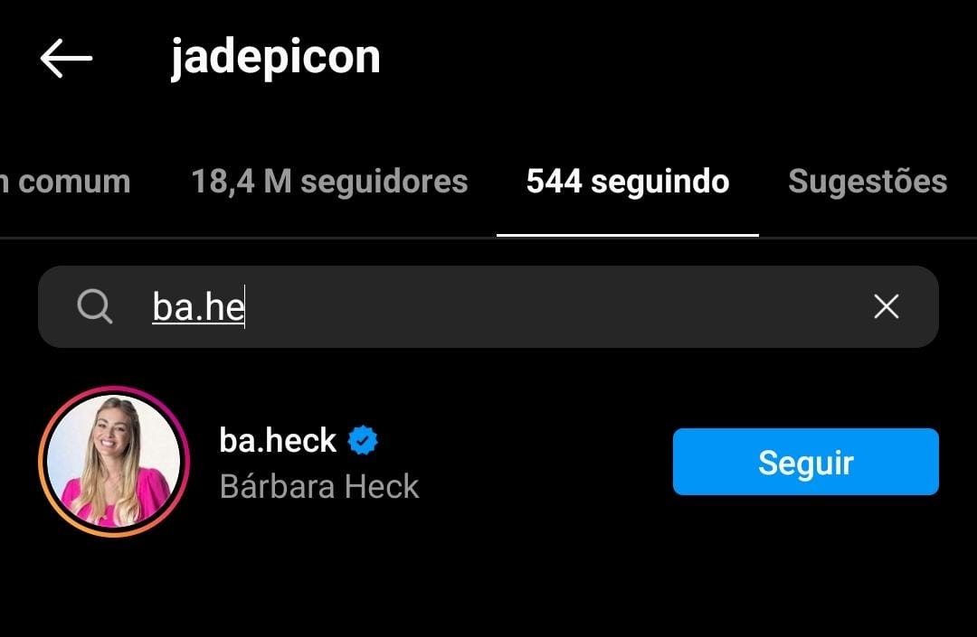 Jade Picon segue Barbara Heck no Instagram (Foto: Reprodução/Instagram)