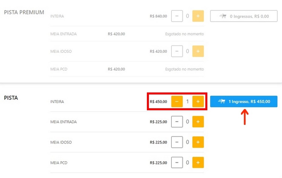 Definição da quantidade de ingressos para show da Dua Lipa SP 2022 — Foto: Reprodução/Raquel Freire