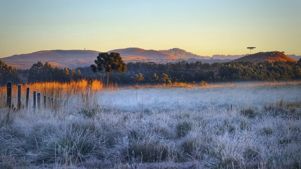 Vale do Caminhos da Neve em São Joaquim (SC) — Foto: Mycchel Legnaghi/São Joaquim Online