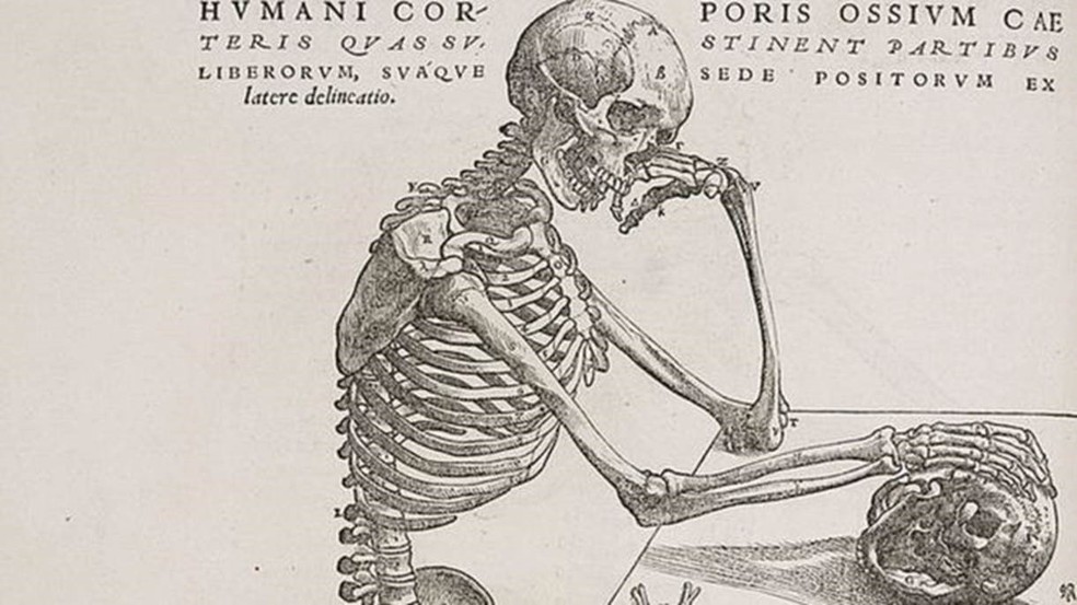 Ainda não sabemos tudo sobre a anatomia humana — Foto: Getty Images/BBC