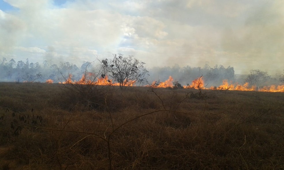 Incêndio na região sudoeste da Bahia — Foto: Edson Nunes/TV Sudoeste