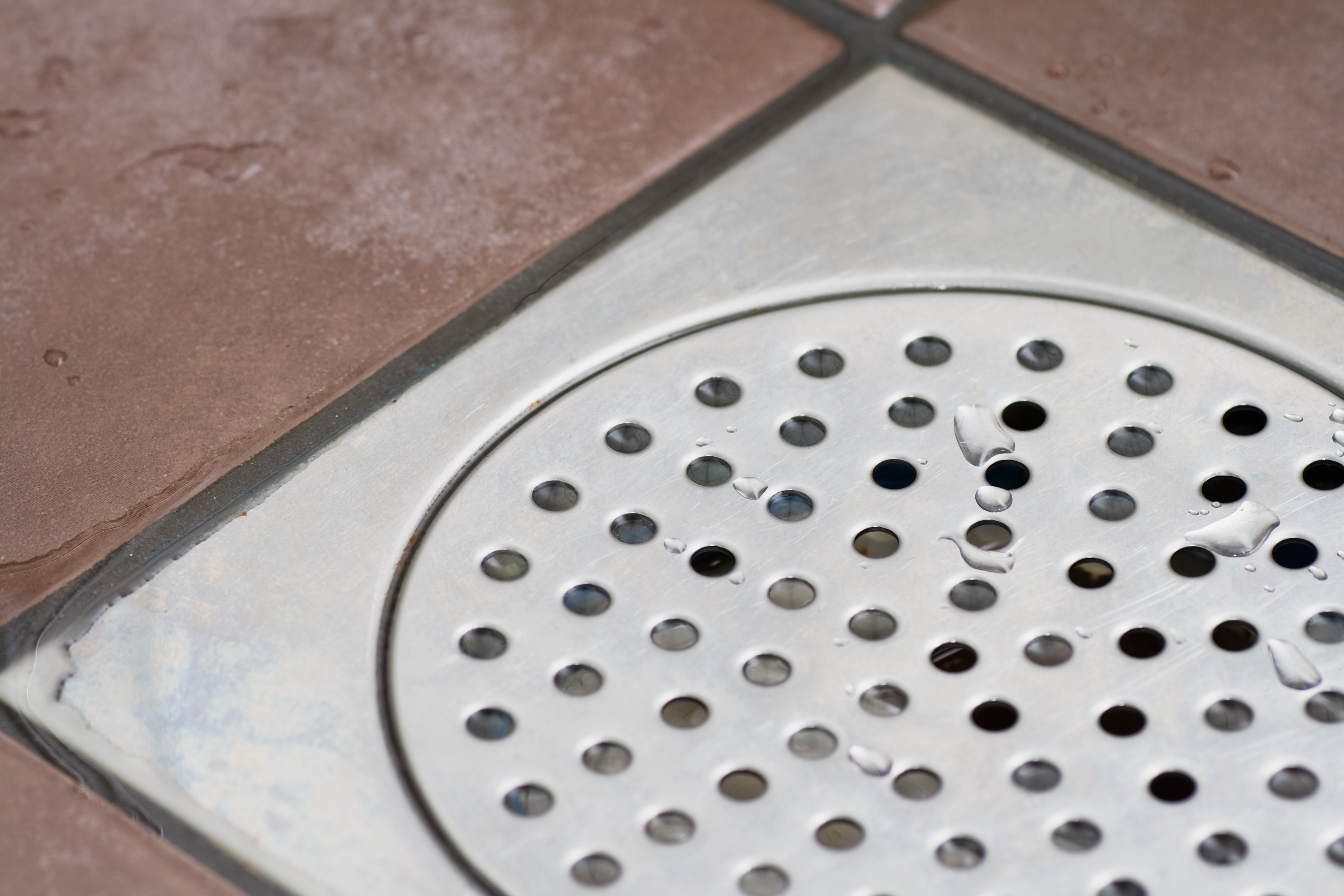 Em áreas com chuveiro, é possível utilizar o ralo seco sem grandes problemas com o mau cheiro (Foto: Getty Images)