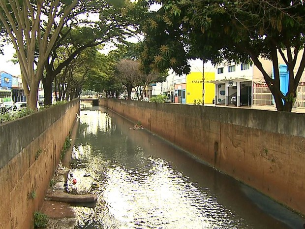Esgoto não tratado em Ribeirão é despejado em rios e córregos do município (Foto: Chico Escolano/EPTV)