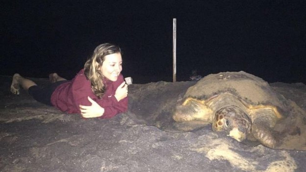 Sarah Vargas estudou tartarugas na Austrália e no Brasil — Foto: Divulgação