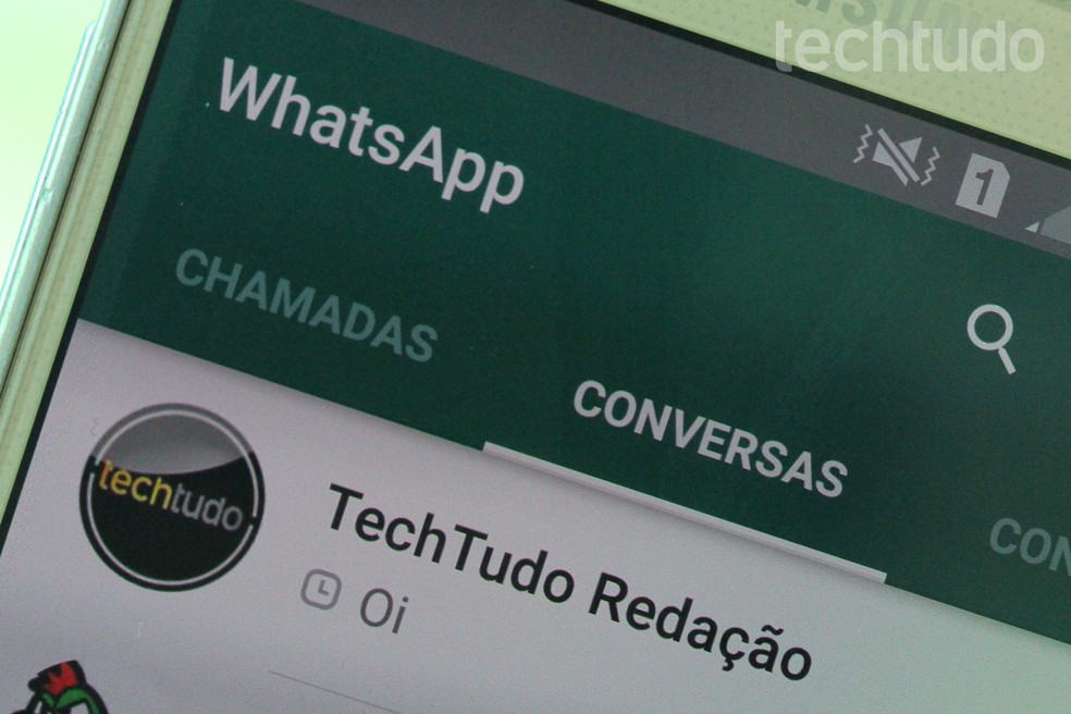 Novas mensagens não chegam a usuários com WhatsApp desinstalado — Foto: Aline Batista/TechTudo