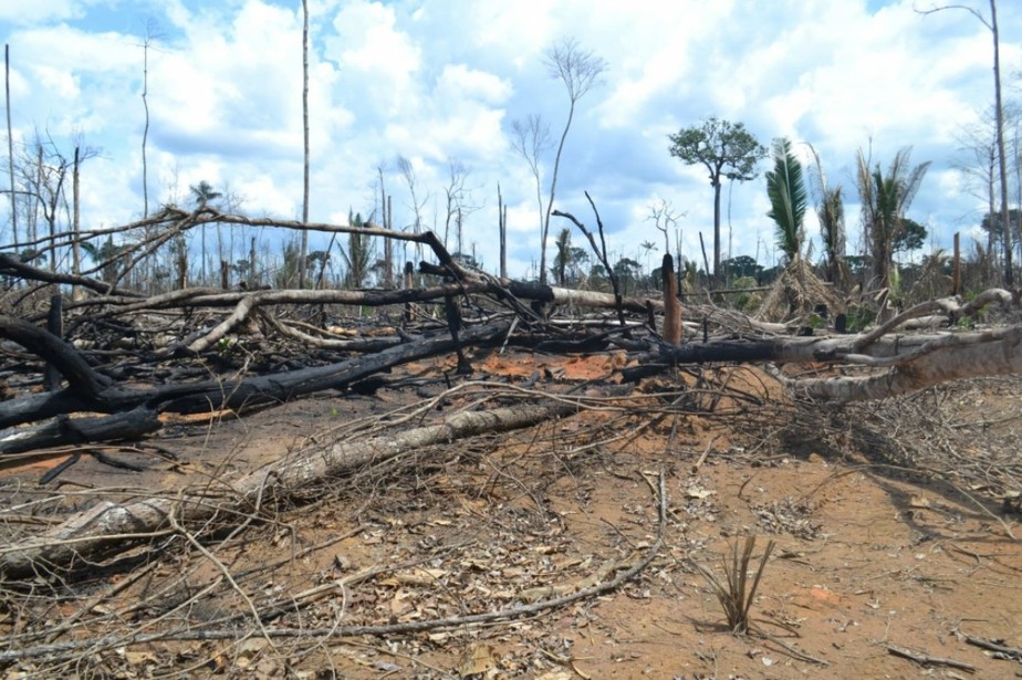 Área desmatada e queimada no município de Lábrea, no Amazonas. Registro feito em 2021, durante pesquisa de campo 2021
