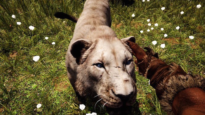 Far Cry Primal: como baixar e instalar no PS4, Xbox One e PC (Foto: Reprodução/Victor Teixeira)