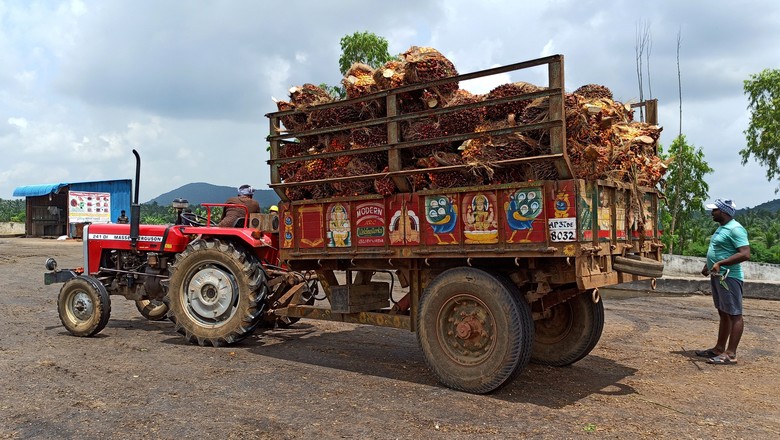 Produtor transporta matéria-prima de óleo de palma na Índia. (Foto: REUTERS/Rajendra Jadhav)