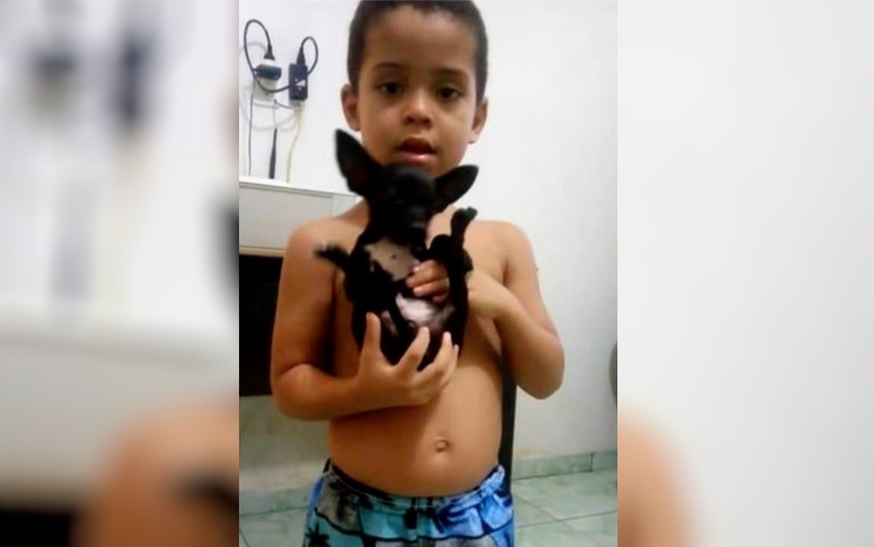 Guilherme Gomes, de 4 anos, com o Faísca, que sumiu no Dia das Crianças — Foto: Reprodução/TV Anhanguera