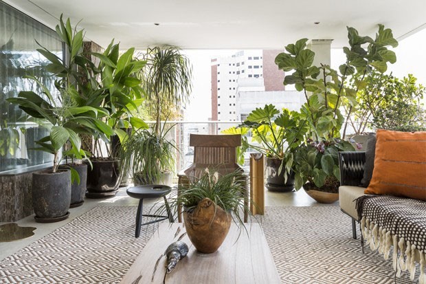 Plantas em apartamento: veja tipos e jeitos de usar - Casa Vogue |  Paisagismo