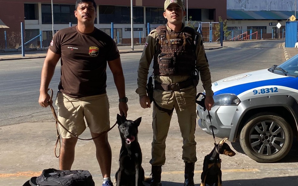 Flagrante ocorreu durante treinamento de cão pastor na cidade de Barreiras — Foto: Divulgação/SSP