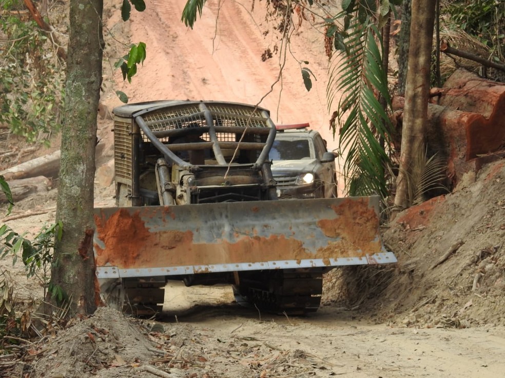 OperaÃ§Ã£o de apreensÃ£o de madeira no sudeste do ParÃ¡ â€” Foto: ReproduÃ§Ã£o/ PolÃ­cia Civil