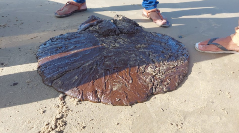 Moradores recolhem meia tonelada de manchas de óleo em praias de Trairi, no litoral cearense; vídeo