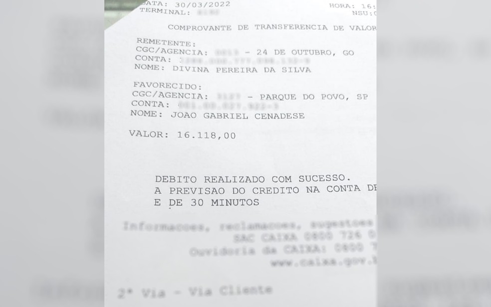 Diarista de Goiânia, Goiás, devolveu mais de R$ 16 mil horas após receber por engano — Foto: Arquivo pessoal/João Gabriel Cenadese