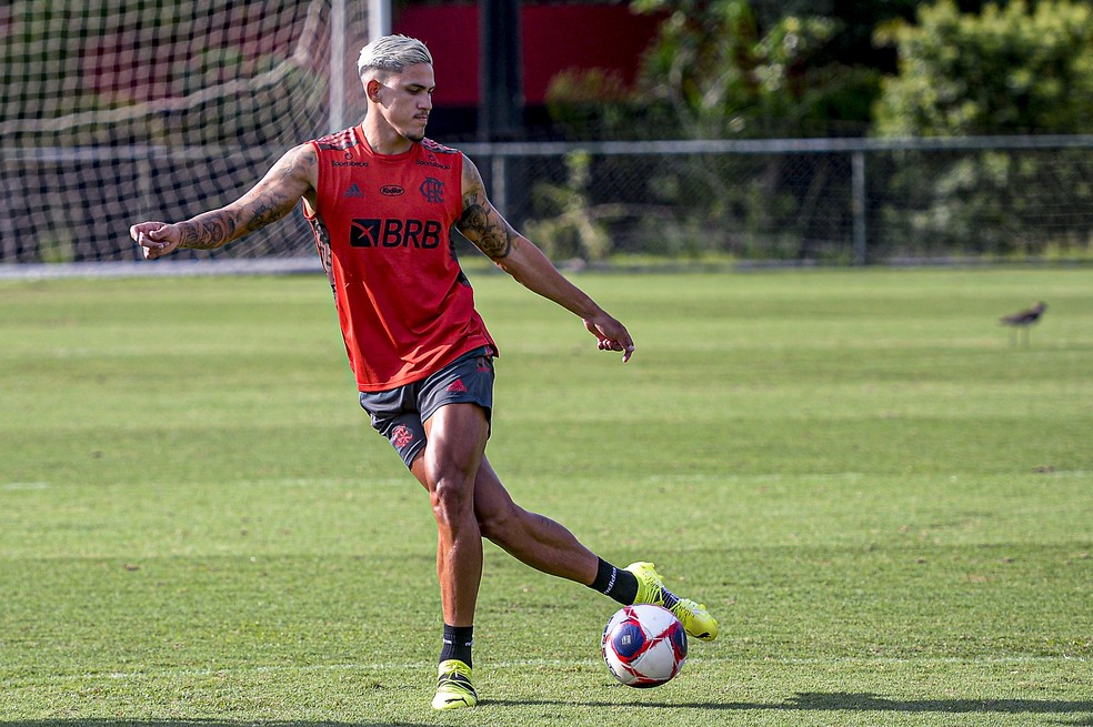 Pedro durante treino do Flamengo. Atacante encara o Resende — Foto: Marcelo Cortes/Flamengo