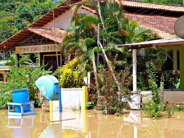 G1 - Rio, empates e forró inspiram linhas de móveis sustentáveis no Acre -  notícias em Acre