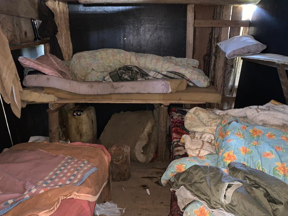 Trabalhadores viviam em alojamento improvisado — Foto: Procuradoria do Trabalho de Pato Branco