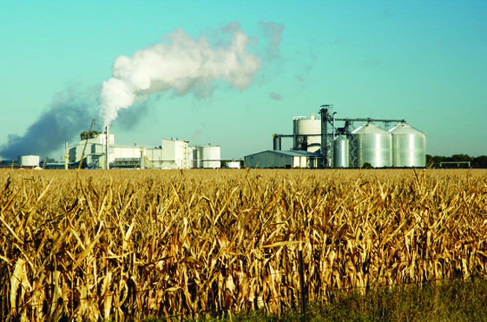 Produção de milho para biocombustível — Foto: Divulgação/Universidade de Illinois