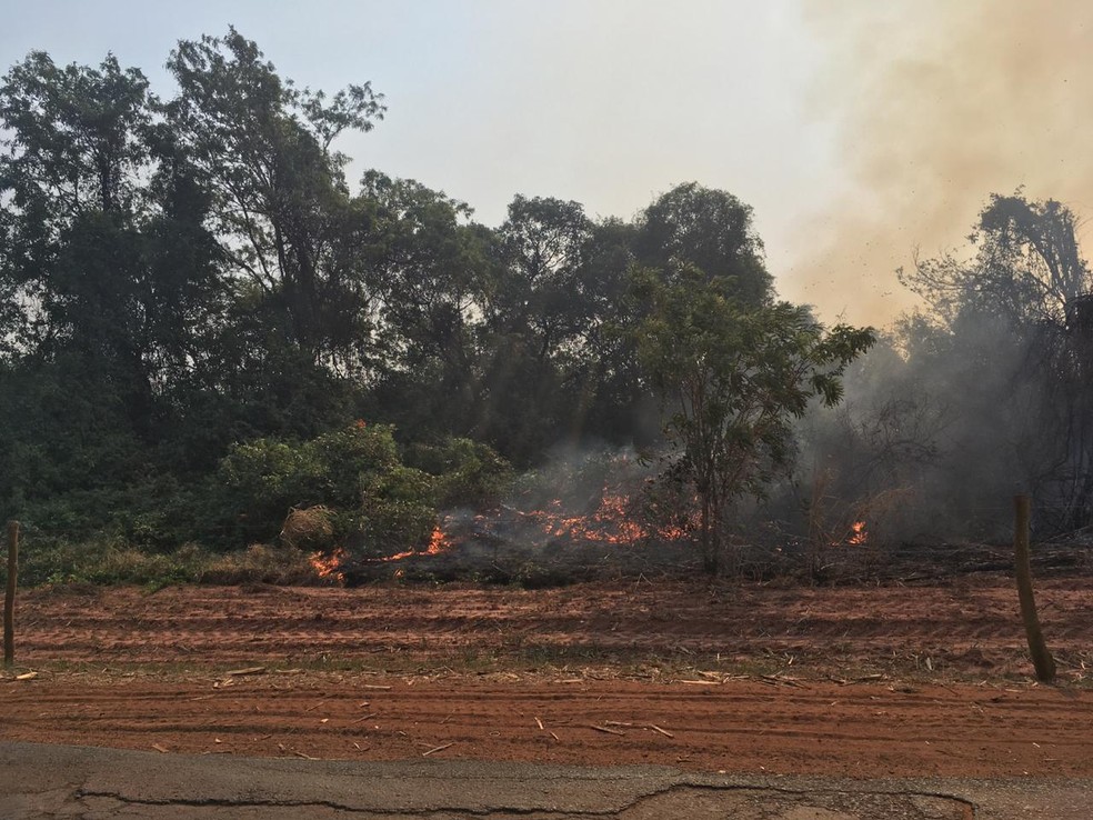 Incêndio atingiu área de floresta estadual em Pederneiras — Foto: Arquivo pessoal 