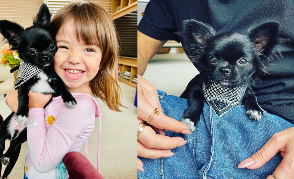 Zoe posa com animal de estimação que usa lenço da grife italiana Prada (Foto: Reprodução Instagram)