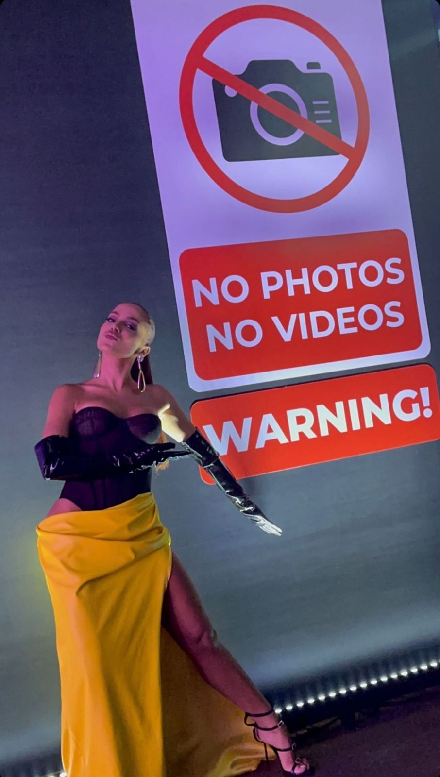Anitta proíbe celulares em sua festa de 30 anos — Foto: Instagram
