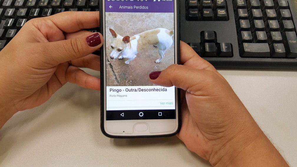 Aplicativo é gratuito e está disponível na plataforma Android (Foto: Fabio Rodrigues/G1)