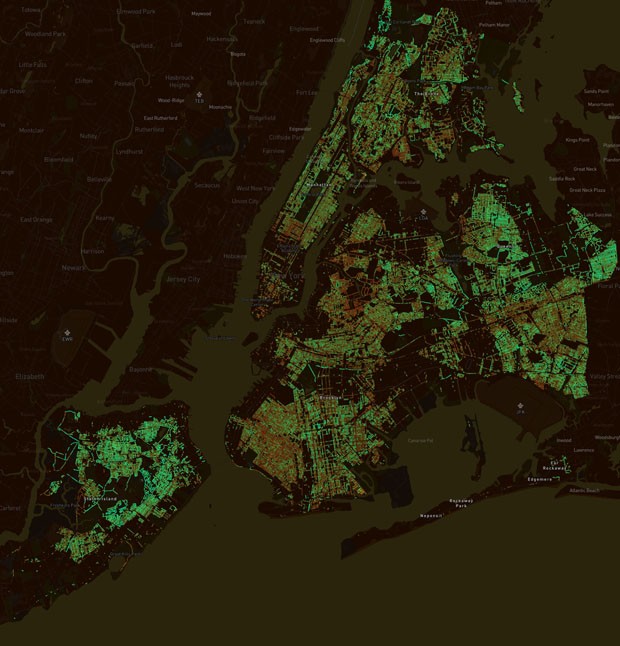 MIT cria plataforma que mapeia área verde das grandes cidades (Foto: Divulgação)