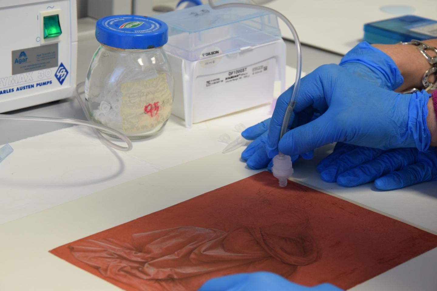 Cientistas identificam rastros de bactérias, fungos e DNA humano nas obras de Da Vinci (Foto: Reprodução/FrontiersinMicrobiology)