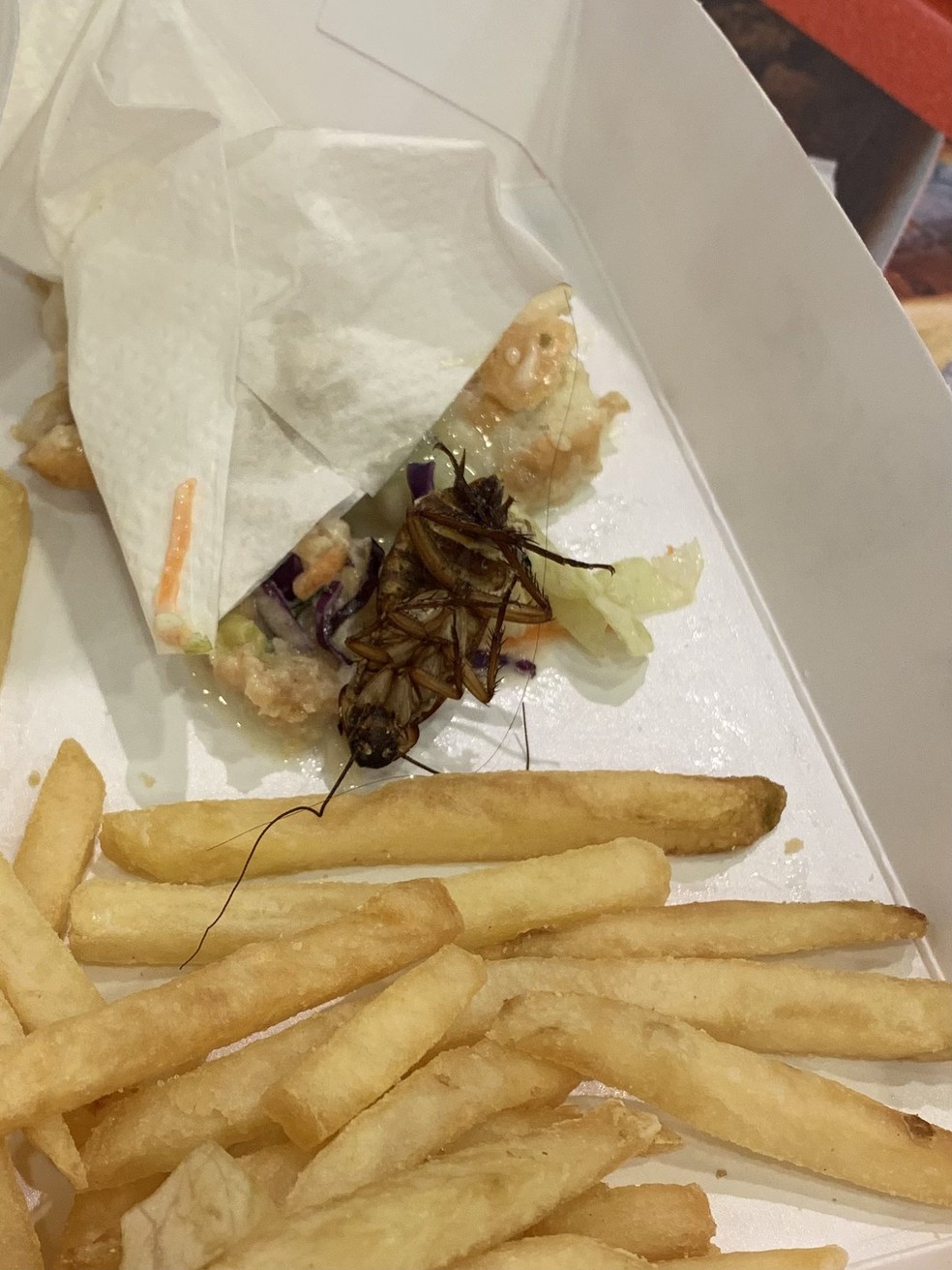 Barata teria sido encontrada em lanche da KFC em unidade de shopping de Porto Alegre — Foto: Twitter/Reprodução