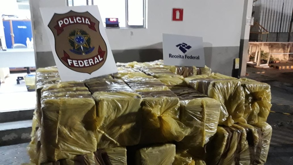 Operação da Polícia e da Receita Federal apreende cocaína escondida em carga de milho em navio no porto de São Sebastião — Foto: Divulgação/ Receita Federal
