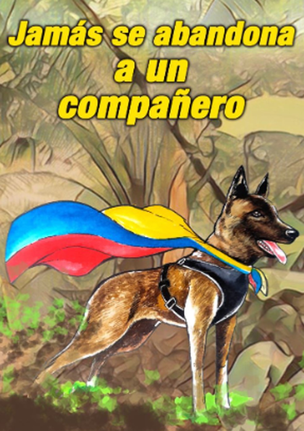 Cachorro Wilson auxiliou nas buscas por crianças perdidas na Amazônia — Foto: Reprodução/Twitter