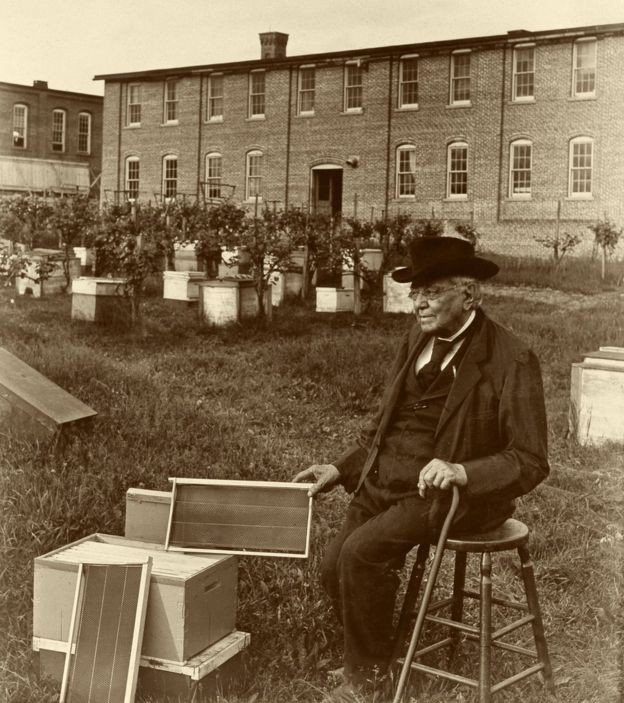 Lorenzo Langstroth com a colmeia que desenhou (Foto: SCIENCE PHOTO LIBRARY)
