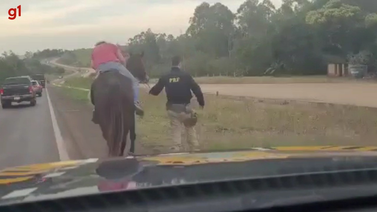 VÍDEO: PRF escolta homem bêbado que dormia sobre cavalo em rodovia do Paraná, diz polícia  