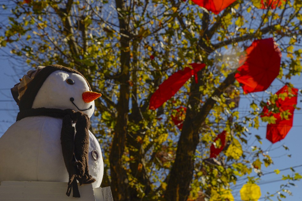 Canela (RS) decorada para a temporada de inverno de 2019. — Foto: Rafael Cavalli/SerraPress/Divulgação/Secretaria de Turismo de Canela
