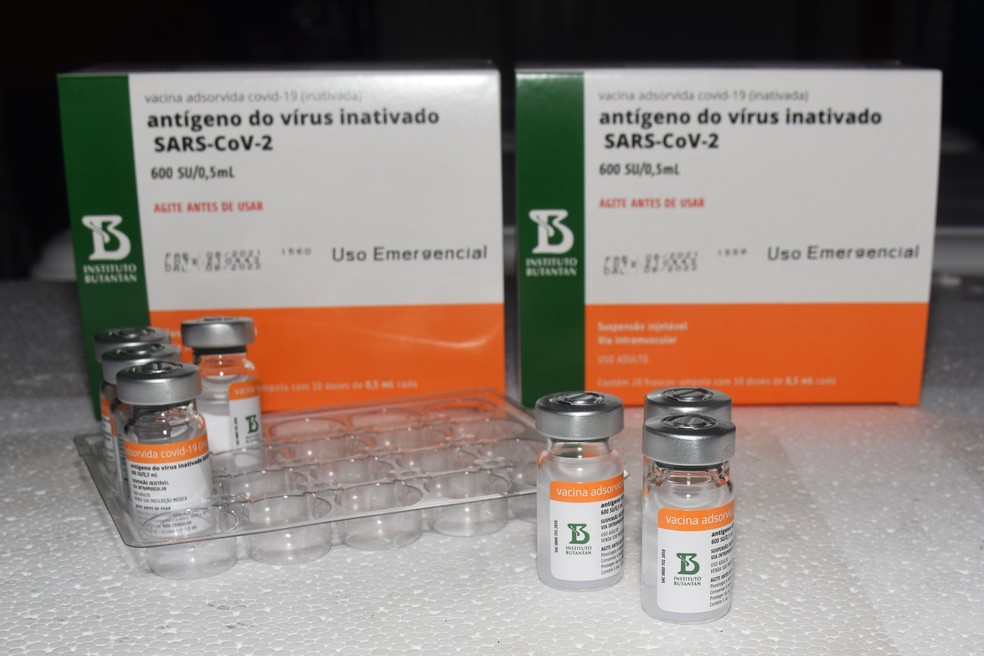 Vacinas contra a Covid-19 da CoronaVac — Foto: Américo Antonio/Sesa