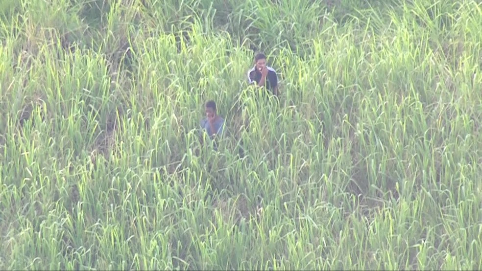 Homens se escondem no meio da mata na Vila Kennedy, na Zona Oeste do Rio Ã¢ÂÂ Foto: ReproduÃÂ§ÃÂ£o/ TV Globo
