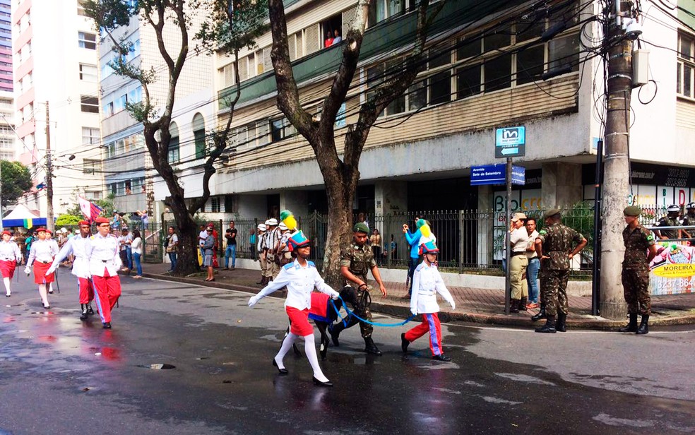 Alunos do colégio militar participam da festa da independência (Foto: Henrique Mendes/G1)