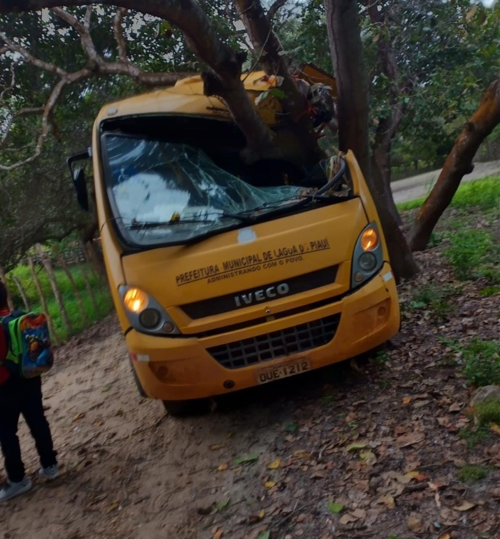 Crianças ficam feridas após ônibus escolar colidir contra árvore no Piauí — Foto: Reprodução /TV Clube