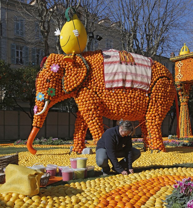 Escultura de elefante feita de frutas cítricas é destaque de festival francês (Foto: Lionel Cironneau/AP)