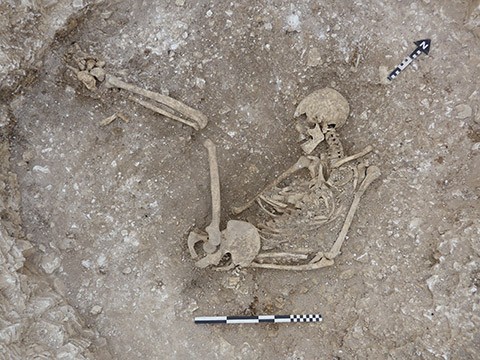 Esqueleto humano da Idade do Ferro em poço oval  (Foto:  Universidade de Bournemouth )