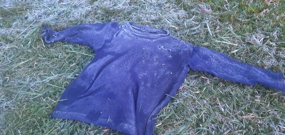 Peça de roupa foi deixada na relva e congelou com frio na Serra de SC — Foto: Mycchel Legnaghi/São Joaquim Online